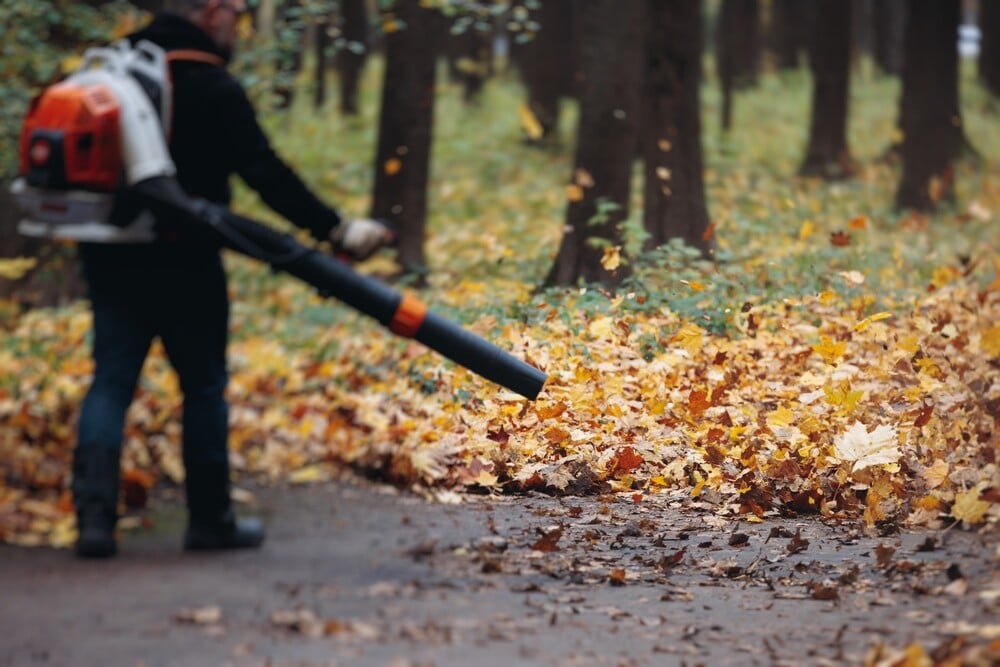 What-To-Do-When-Tenants-Not-Taking-Care-Of-Yard
